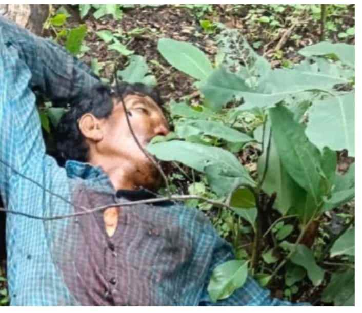 सातारा भोसले जंगलात वाघाचा हल्ला,गुराख्याचा मृत्यू,परिसरात भीतीचे सावट